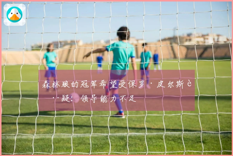 森林狼的冠军希望受保罗·皮尔斯质疑：领导能力不足